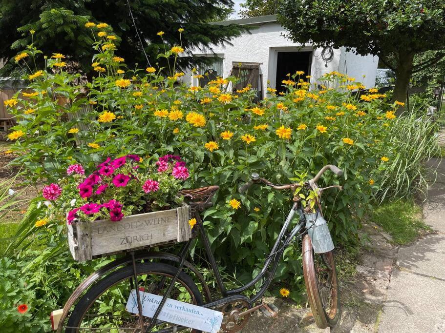 Tiny House Ostsee # Naturwerk Pruchten エクステリア 写真