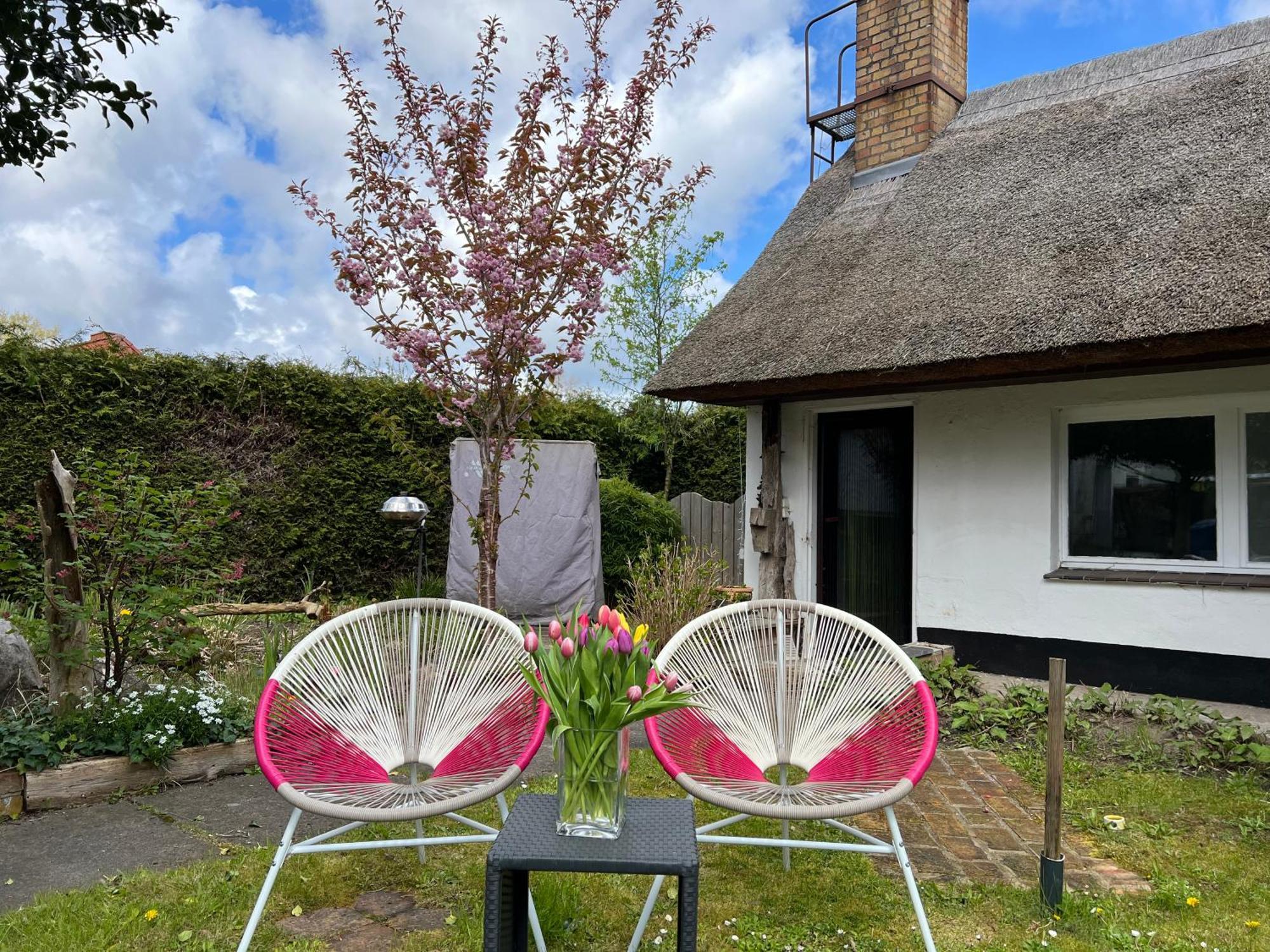 Tiny House Ostsee # Naturwerk Pruchten エクステリア 写真